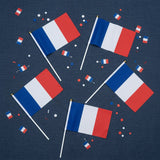 Mini Drapeau France à Main · Accessoire Supporter Tricolore