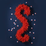 Boa Plumes Rouge · Accessoire Fête Supporter