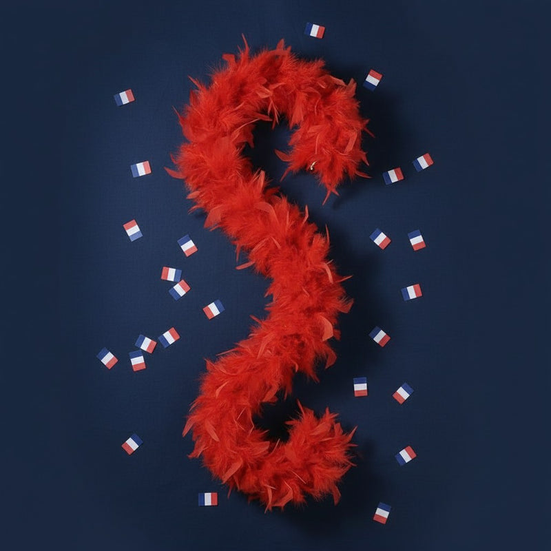 Boa Plumes Rouge · Accessoire Fête Supporter