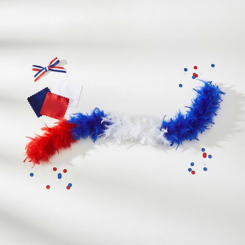 Boa Plumes Tricolore France · 50g Accessoire Supporter