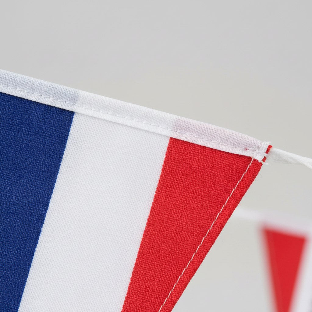 Guirlande 20 Fanions Tricolores France · 10 mètres