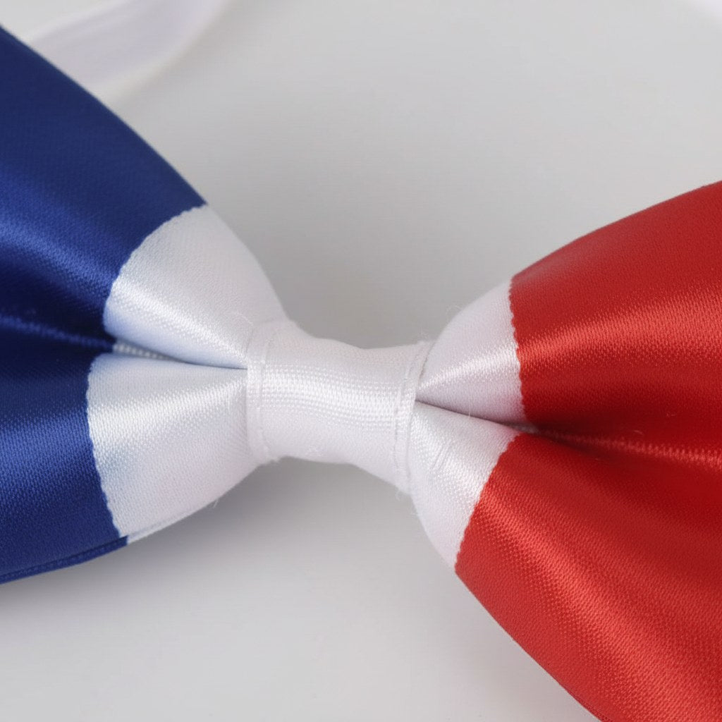Nœud Papillon Tricolore Supporter France