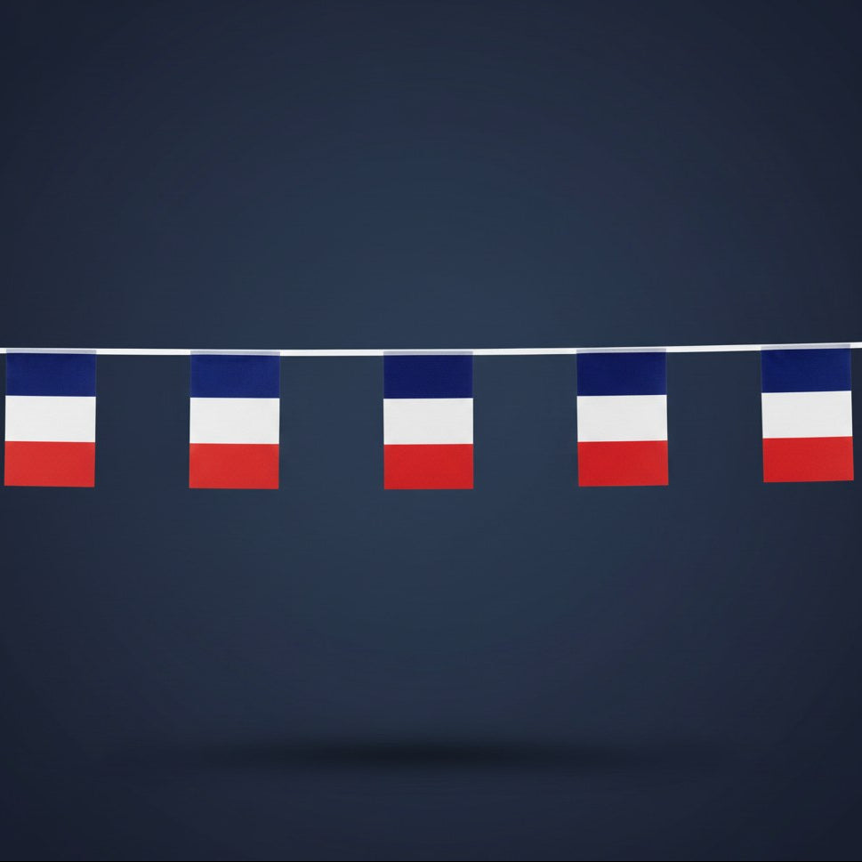 Guirlande 10 Drapeaux France Tricolore · 5 mètres