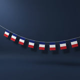 Guirlande Drapeaux Tricolores · 5 mètres