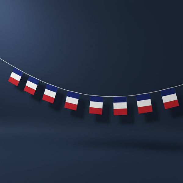 Guirlande Drapeaux Tricolores · 5 mètres