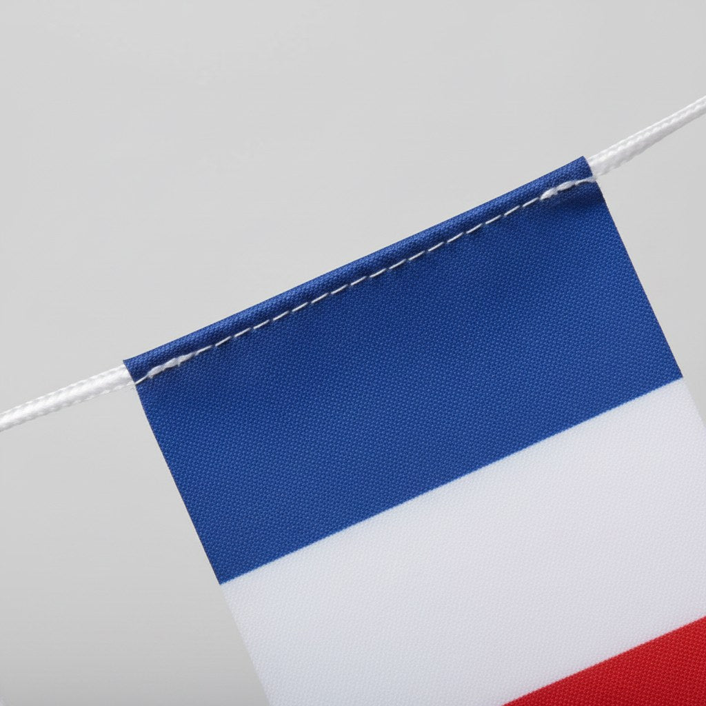 Guirlande Drapeaux Tricolores · 5 mètres