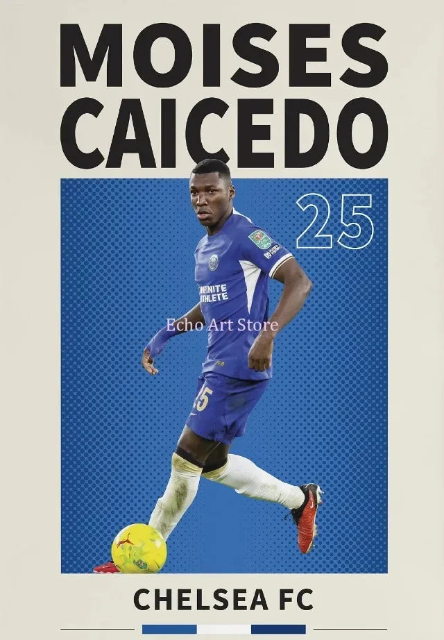 Posters Stars Football — Canvas — accessoire supporter équipe de France