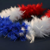 Boa Plumes Tricolore France · 50g Accessoire Supporter