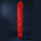 Boa Plumes Rouge · Accessoire Fête Supporter