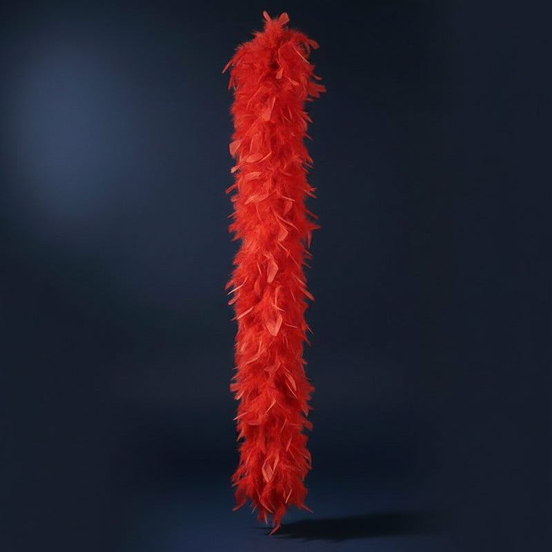 Boa Plumes Rouge · Accessoire Fête Supporter