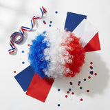 Perruque Afro Tricolore Supporter France · Accessoire Soirée