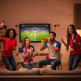 Corne de Stade Supporter France · Ambiance Match
