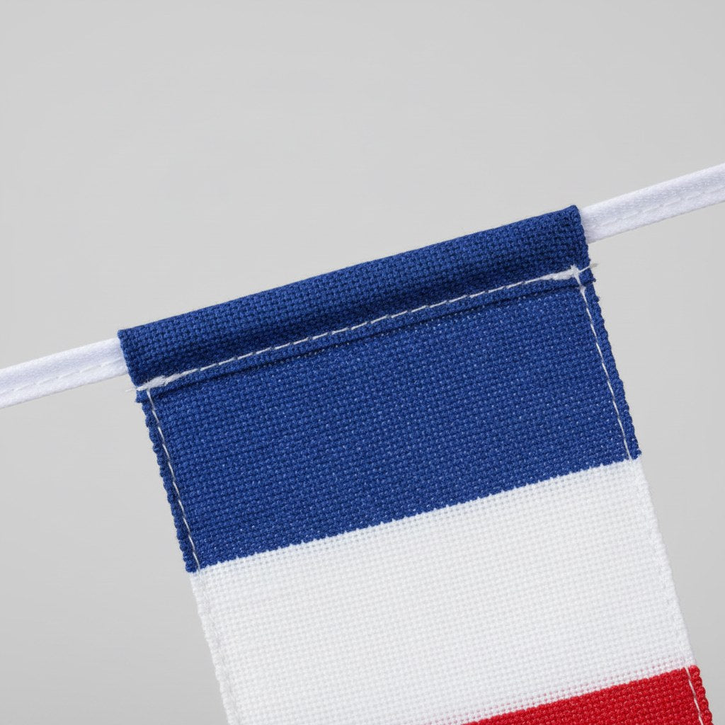 Guirlande Drapeaux Tricolores France · 10 mètres