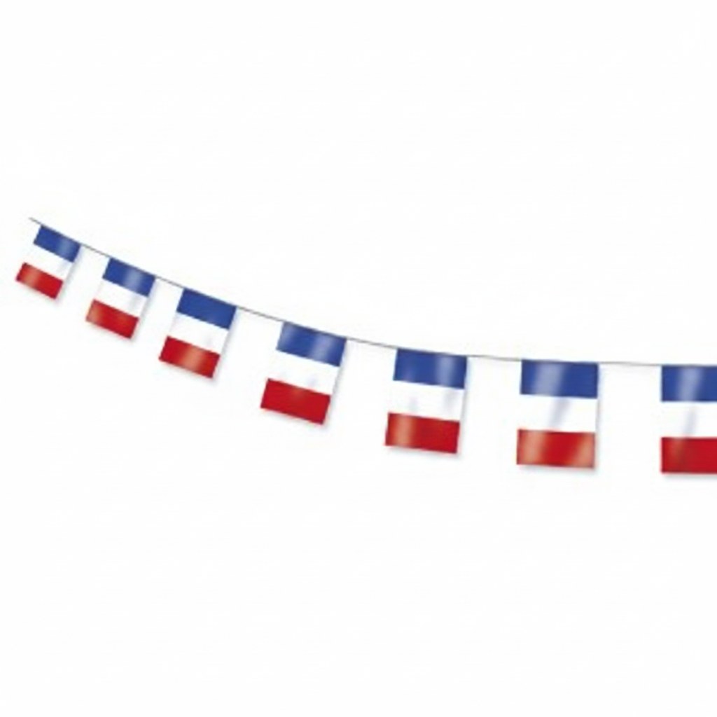 Guirlande Drapeaux Tricolores · 5 mètres