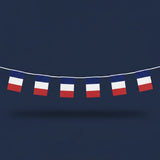 Guirlande Drapeaux Tricolores France · 10 mètres