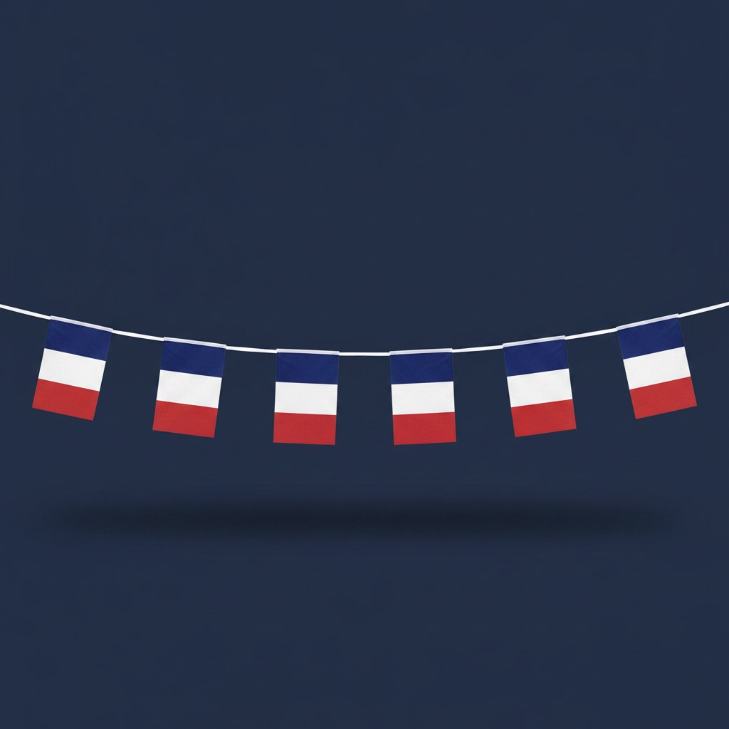 Guirlande Drapeaux Tricolores France · 10 mètres